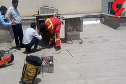 احمق ترین دزد تهران را بشناسید ! + عکس 