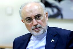 نظر عضو کارگزاران درباره ورود صالحی به انتخابات