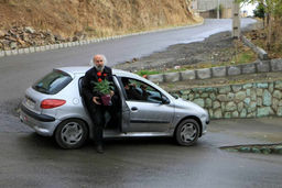 اکران «همراه با باد» در «هنر و تجربه»