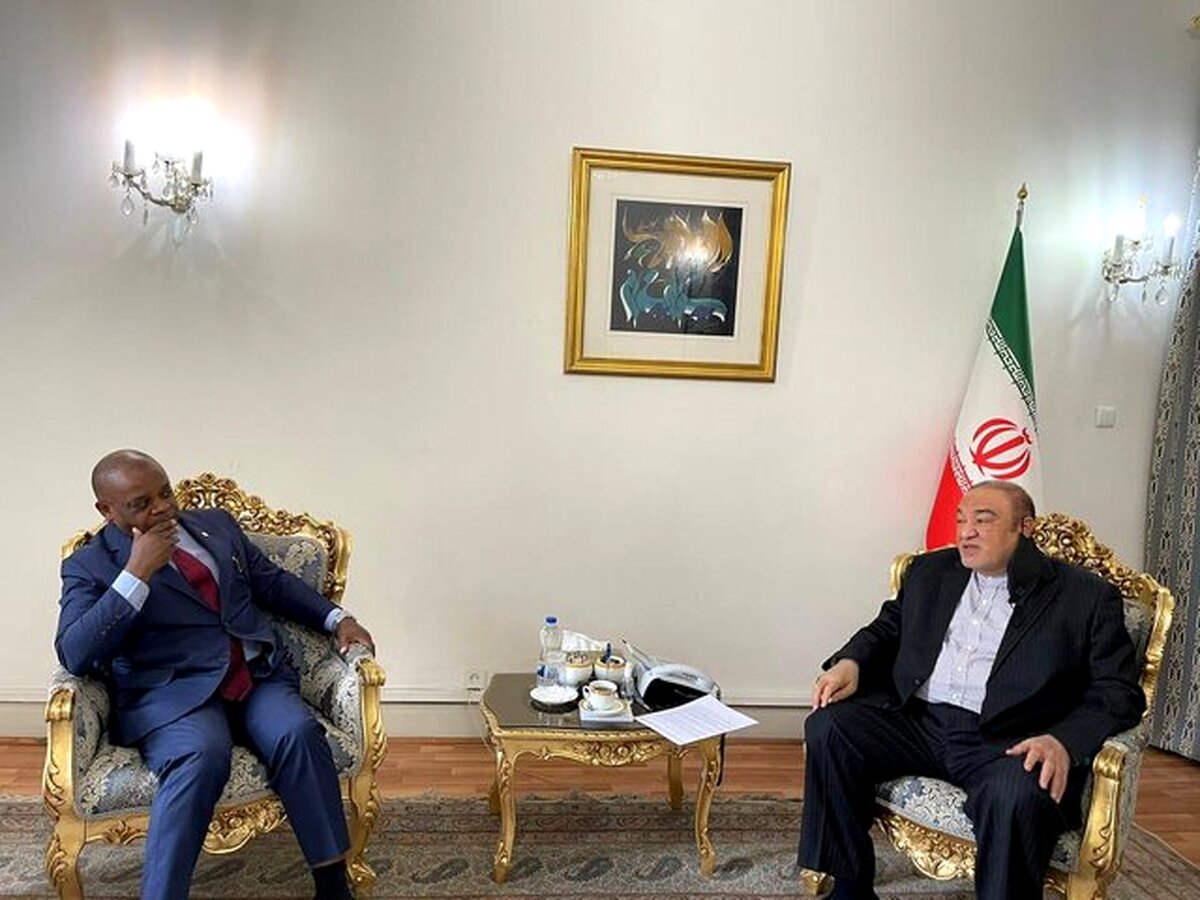 رایزنی معاون وزارت امور خارجه با دبیرکل «دی ۸» در تهران