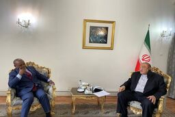 رایزنی معاون وزارت امور خارجه با دبیرکل «دی ۸» در تهران