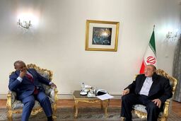 رایزنی معاون وزارت امور خارجه با دبیرکل «دی ۸» در تهران