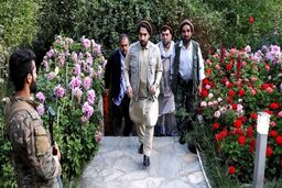 احمد مسعود: در صورت تقسیم برابر قدرت در افغانستان کناره‌گیری می‌کنم