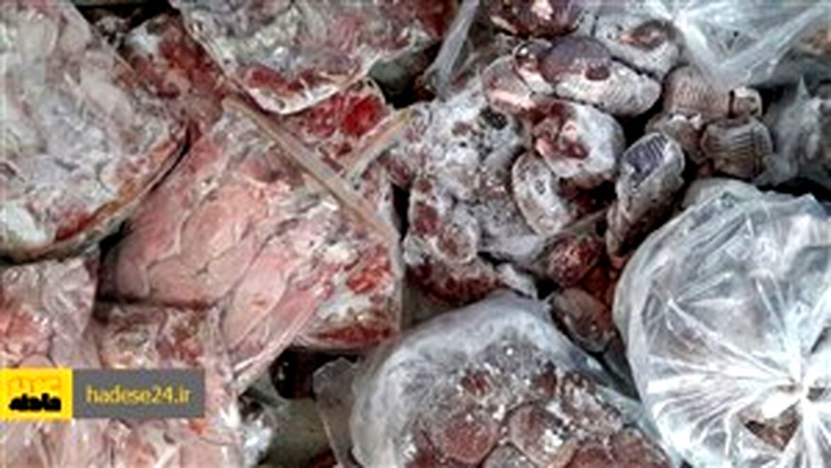 توقیف خودروی حامل گوشت فاسد در رودبار/ مقصد این محموله کجا بود؟