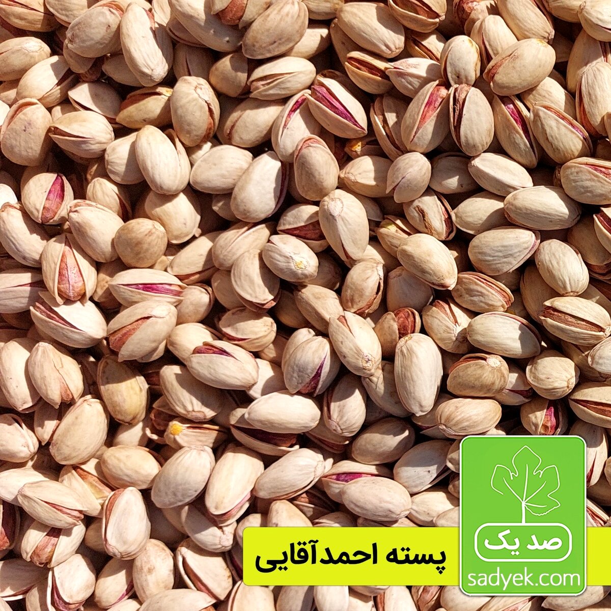 9 فواید شگفت انگیز پسته