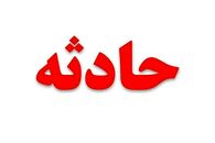 جزئیات حادثه وحشتناک در تبریز | حمله وحشناک سگ ولگرد به دختر بچه ۵ ساله