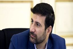 روایت عضو حقوقدان شورای نگهبان از جلسه با عارف و انصاری