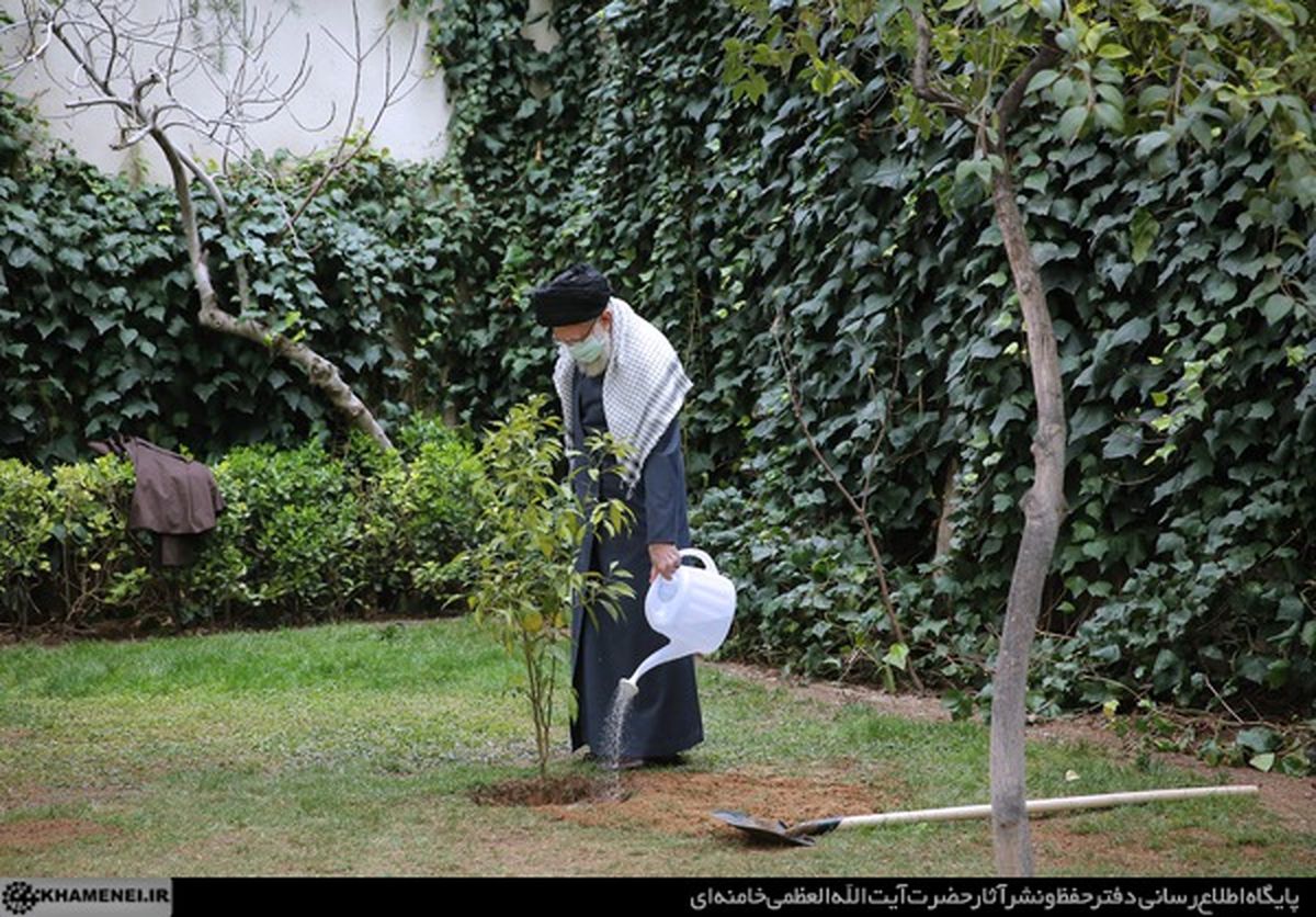 کاشت دو نهال توسط رهبر معظم انقلاب