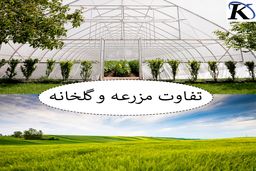 تفاوت کشت گلخانه ایی و مزرعه ایی