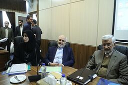 سرنوشت عجیب ظریف؛ ناصری: دستگاه وزارت خارجه امروز مثل زمان دولت احمدی نژاد یکه تاز در عرصه سیاست خارجی نیست/ به عصر جلیلی باز نمی گردیم
