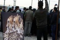 روز جهانی یوزپلنگ