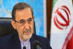 ولایتی: شیخ قبلان منشاء خدمات ارزنده و ماندگار بوده است