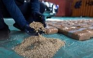 هشدار: کپتاگون داعشی به مرز ایران رسید