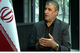 جزئیاتی از دور جدید مذاکرات از زبان رئیس سازمان انرژی اتمی