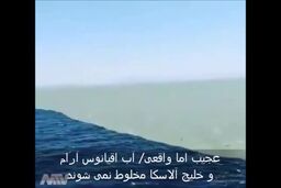 فیلم/ عجیب اما واقعی/ مخلوط نشدن آب اقیانوس و خلیج آلاسکا 