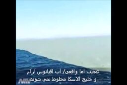 فیلم/ عجیب اما واقعی/ مخلوط نشدن آب اقیانوس و خلیج آلاسکا 