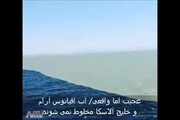 فیلم/ عجیب اما واقعی/ مخلوط نشدن آب اقیانوس و خلیج آلاسکا 