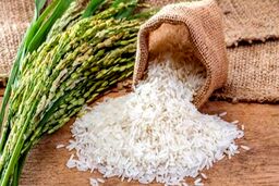 اعلام نرخ تبدیل شلتوک به برنج در شالیکوبی‌های گیلان