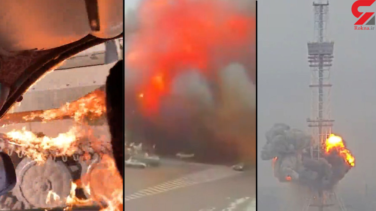 از تاوان لگد زدن به سگ تا واژگونی کشتی غول پیکر + 10 فیلم