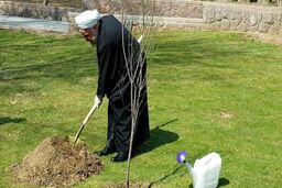 رئیس جمهور: هر ایرانی یک نشان،یک درخت