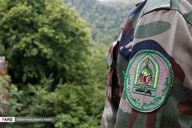 روز جنگلبان