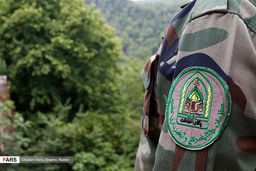 گزارش تصویری:تکریم جنگلبان