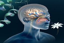 یک تست جدید برای  تشخیص آلزایمر