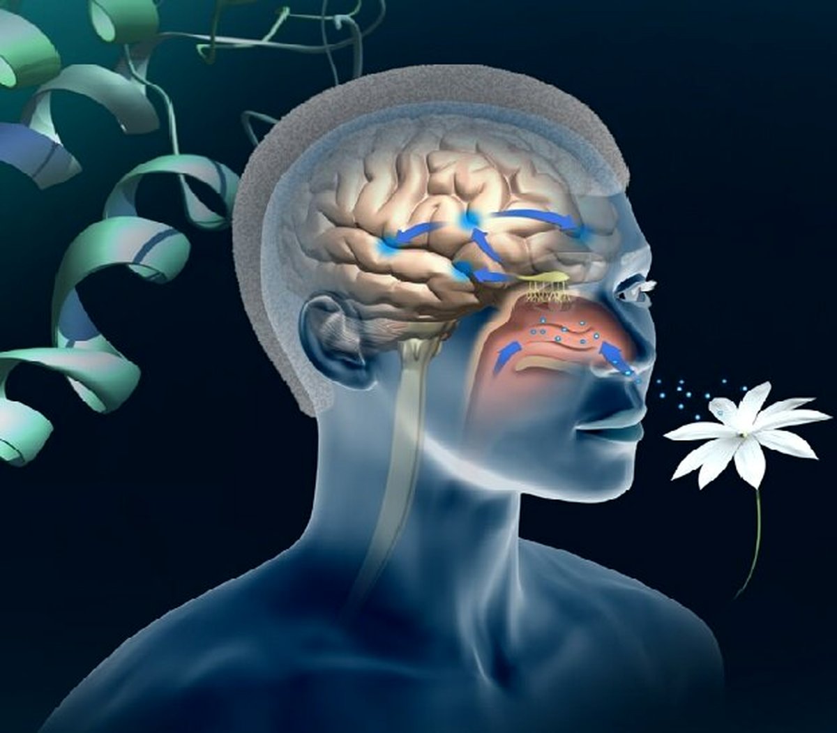 یک تست جدید برای تشخیص آلزایمر