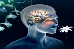 یک تست جدید برای  تشخیص آلزایمر