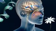 یک تست جدید برای  تشخیص آلزایمر
