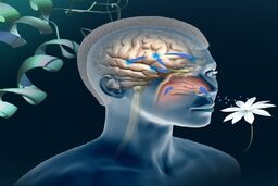 یک تست جدید برای  تشخیص آلزایمر