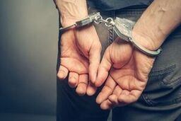سرقت در پوشش تکدی‌گری با عروسک پارچه‌ای +عکس