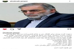واکنش همسر شهید داریوش رضایی‌نژاد به شهادت محسن فخری زاده