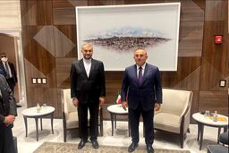 ابلاغ دعوت رییسی از اردوغان برای سفر به تهران