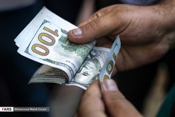 تصمیم دولت برای حذف ارز ۴۲۰۰ تومانی قطعی است؟