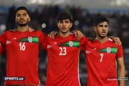 نظرسنجی:  مهدوی کیا برای المپیک بماند یا برود؟