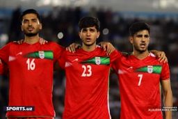 نظرسنجی:  مهدوی کیا برای المپیک بماند یا برود؟