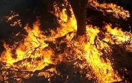 آتش به جان علفزارهای غرب شهرکرد افتاد