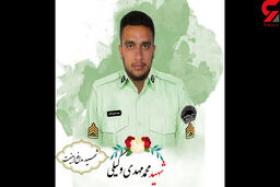 شلیک دقیق پلیس به عامل شهادت محمد مهدی وکیلی/قاتل فراری زمین گیر شد