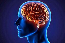 پدیده‌ای به‌نام خشکی مغز