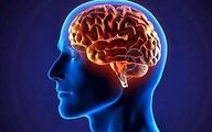 با انجام این ۵ روش باهوش می‌شوید!