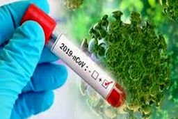 وزارت دفاع نسل سوم تشخیص ویروس کرونا را تولید کرد