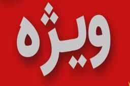 نپوشیدن شلوار کار دست کارشناس ضد انقلاب در برنامه زنده داد + فیلم
