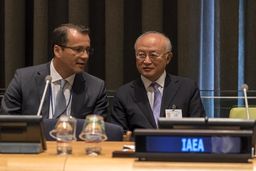 یک رومانیایی مدیرکل موقت آژانس بین‌المللی انرژی اتمی شد