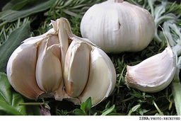  با این سبزیجات روزده خود را از سرطان دور کنید