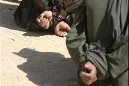 آدم‌ربایی و اخاذی با وعده مهاجرت به اروپا/ تهدید مرد جوان با گرفتن کلیه اش