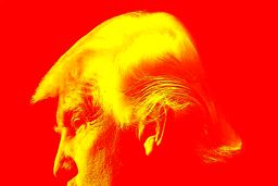 پیشنهادعجیب ترامپ برای مهاجران:از مار و تمساح تا شلیک مستقیم گلوله