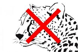 رونمایی زودهنگام از کیت تیم ملی؟ (عکس)