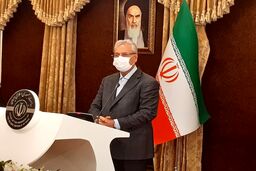 توضیحات سخنگوی دولت درباره تامین واکسن آنفلوآنزا