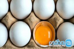 تخم مرغ بال در آورد!
